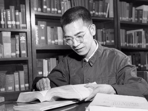 陈景润妻子爆料视频大全,一段尘封的往事与科学巨匠的私生活  第1张