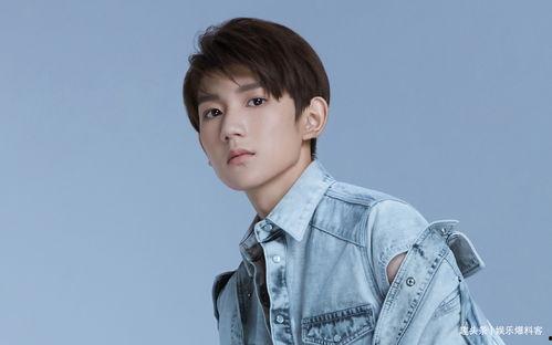 爆料网红追王源的视频,揭秘明星与粉丝的神秘互动  第2张